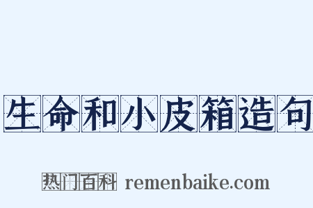 生命和小皮箱造句是什么意思的图片